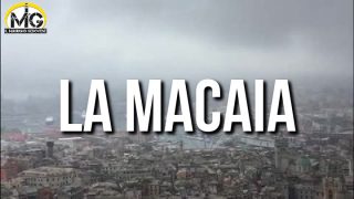 macaia