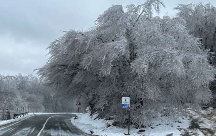 gelicidio passo del faiallo