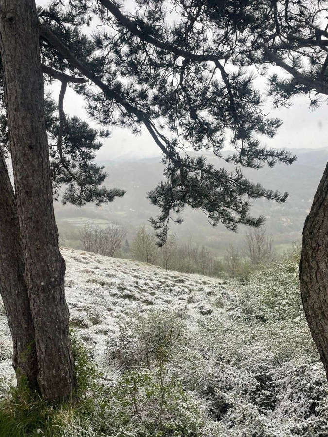 neve parco antola 18 aprile