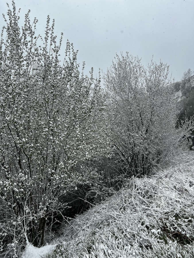 neve parco antola 18 aprile